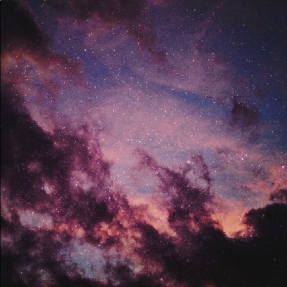 Meet your Posher, Riley